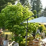Bed & Tours Dimora Di Campagna 4*
