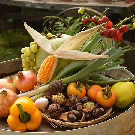 住宿加早餐酒店 Bed & Tours Dimora Di Campagna Castelnuovo Belbo