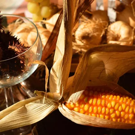 Bed & Tours Dimora Di Campagna Couette-café 4*