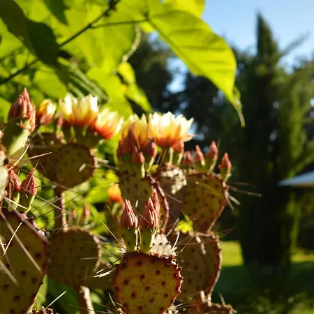 Bed & Tours Dimora Di Campagna 4*