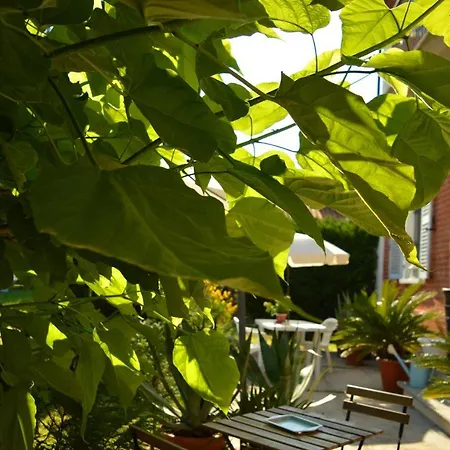 Bed & Tours Dimora Di Campagna 4* Castelnuovo Belbo