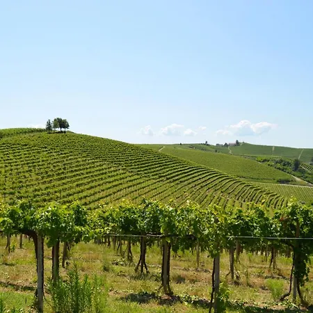 Bed & Tours Dimora Di Campagna Couette-café