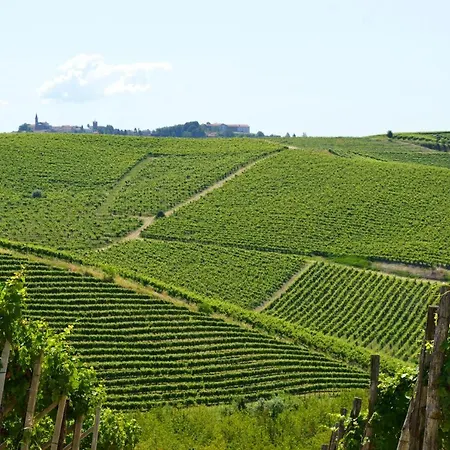 Bed & Tours Dimora Di Campagna Bed & Breakfast