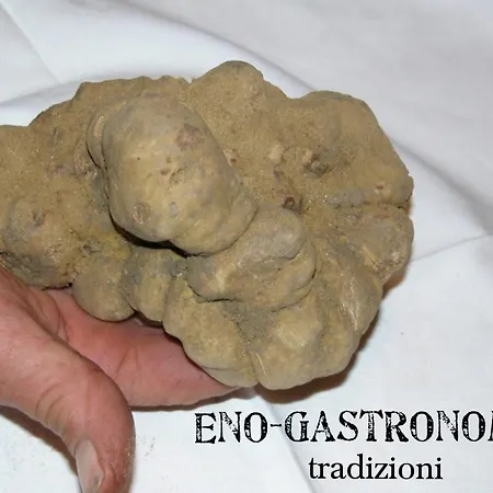 Nocleg ze śniadaniem Bed & Tours Dimora Di Campagna