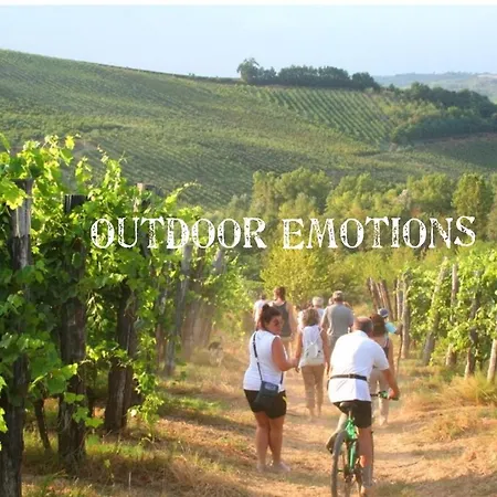 Bed & Tours Dimora Di Campagna Castelnuovo Belbo