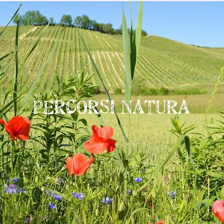 Bed & Tours Dimora Di Campagna