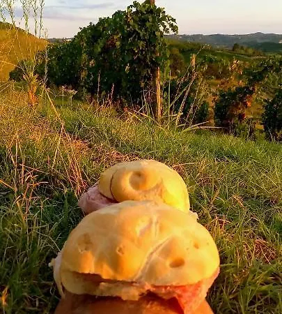 住宿加早餐酒店 Bed & Tours Dimora Di Campagna