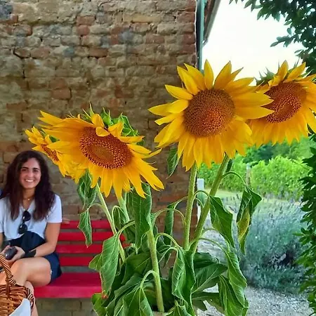 Bed & Tours Dimora Di Campagna Castelnuovo Belbo