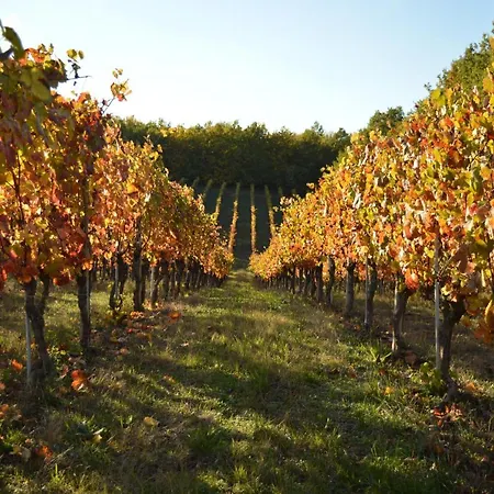 Bed & Breakfast Bed & Tours Dimora Di Campagna 3*