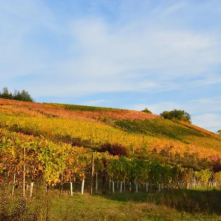 Bed & Tours Dimora Di Campagna
