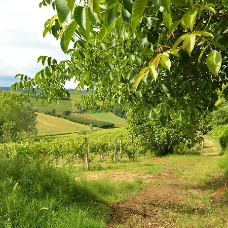 Bed & Tours Dimora Di Campagna ベッド・アンド・ブレックファスト Castelnuovo Belbo