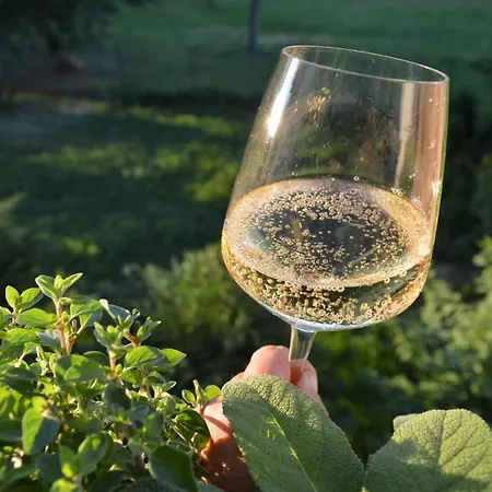 Bed & Tours Dimora Di Campagna 4*