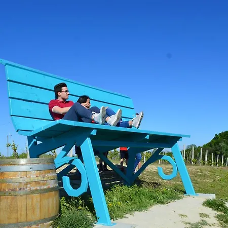 Bed & Tours Dimora Di Campagna Castelnuovo Belbo