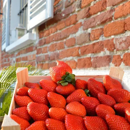 Bed & Breakfast Bed & Tours Dimora Di Campagna Castelnuovo Belbo