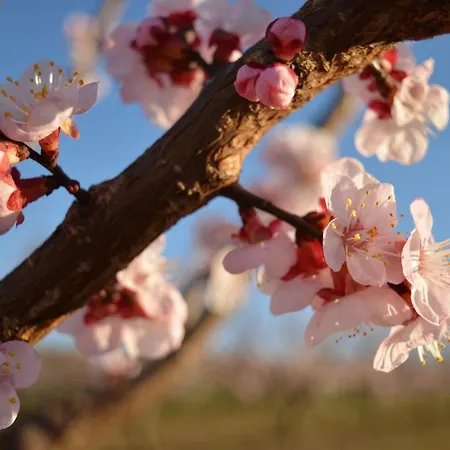 Nocleg ze śniadaniem Bed & Tours Dimora Di Campagna