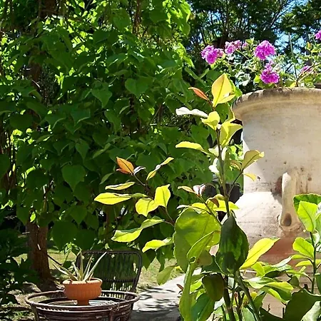 Bed & Breakfast Bed & Tours Dimora Di Campagna 4*