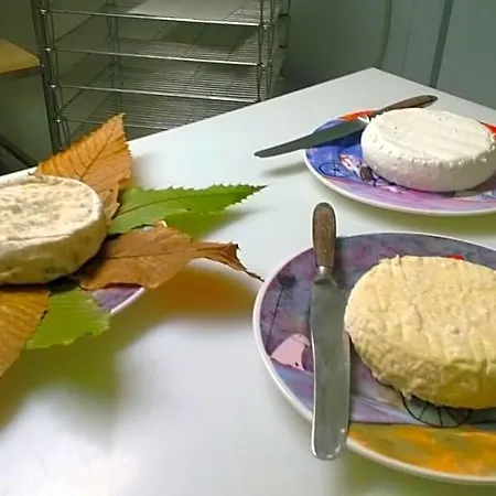 Bed & Tours Dimora Di Campagna Castelnuovo Belbo