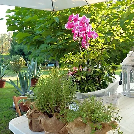 Bed & Breakfast Bed & Tours Dimora Di Campagna Castelnuovo Belbo