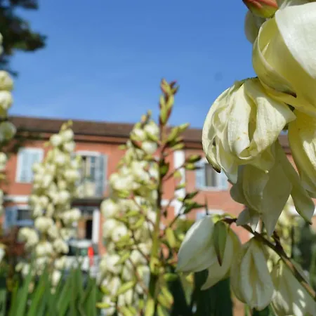 Bed & Tours Dimora Di Campagna 4* Castelnuovo Belbo