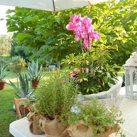 Couette-café Bed & Tours Dimora Di Campagna Castelnuovo Belbo