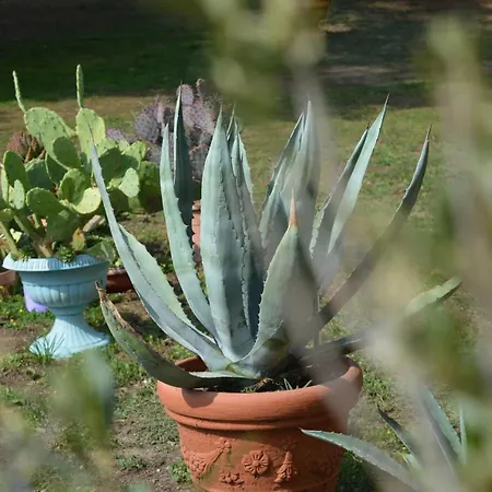 Bed & Tours Dimora Di Campagna 4*