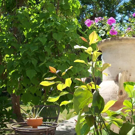 Bed & Tours Dimora Di Campagna 3* Castelnuovo Belbo