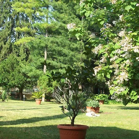 Bed & Tours Dimora Di Campagna 4*