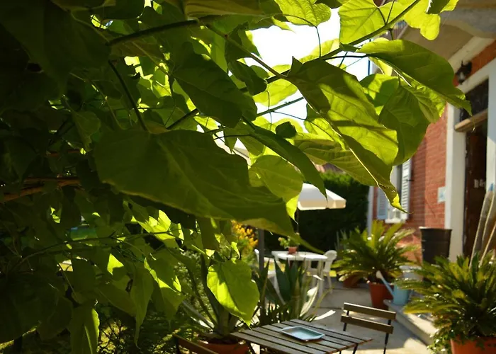 Bed & Tours Dimora Di Campagna 4* Castelnuovo Belbo