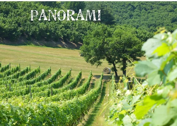 Bed & Tours Dimora Di Campagna 4*