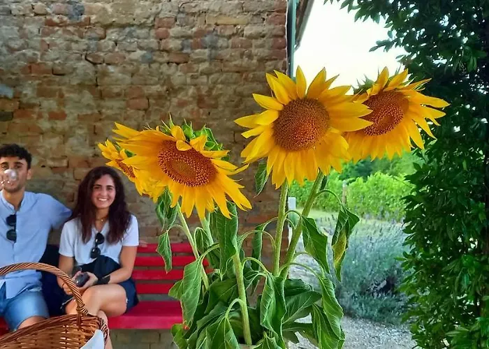 Bed & Tours Dimora Di Campagna Castelnuovo Belbo