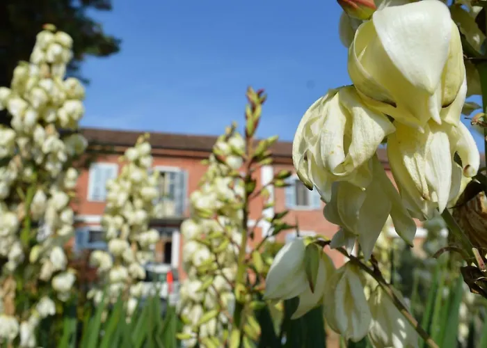 Bed & Tours Dimora Di Campagna 4* Castelnuovo Belbo