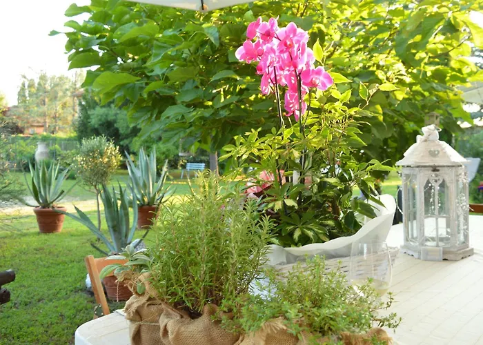 לינה וארוחת בוקר Bed & Tours Dimora Di Campagna Castelnuovo Belbo