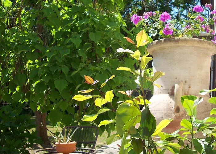 Bed & Tours Dimora Di Campagna 4* Castelnuovo Belbo